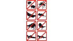 noanimals8.jpg