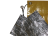 z115-flyerpic.png